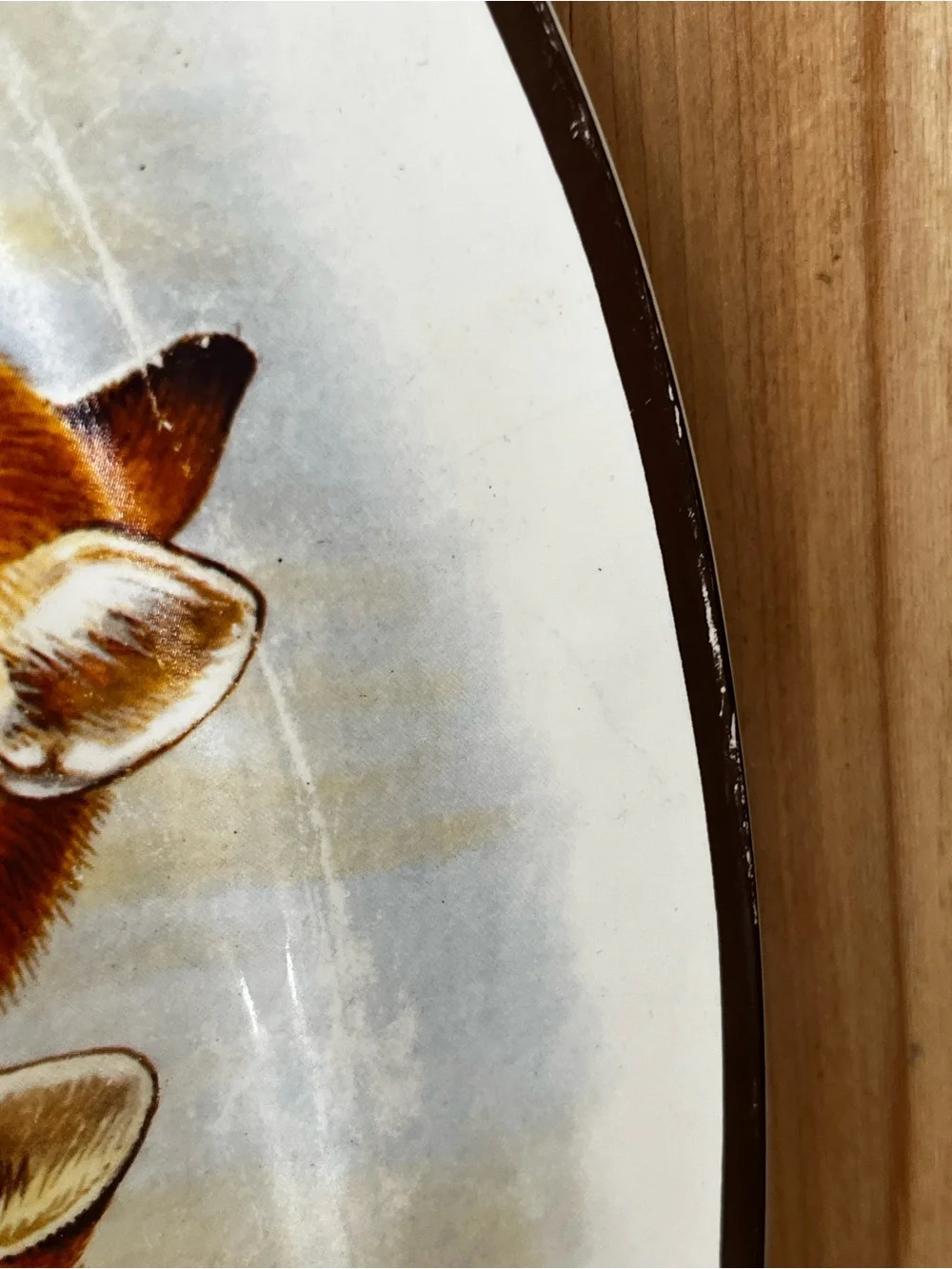 National wildlife Federation, ceramic Oval Tray with Two Red Foxes
